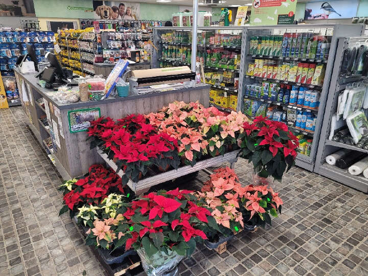 20251119 111918 resized